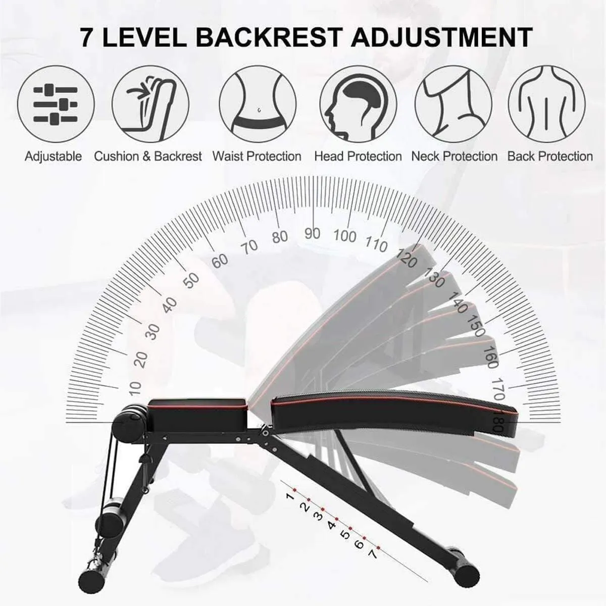 Body Building Bench