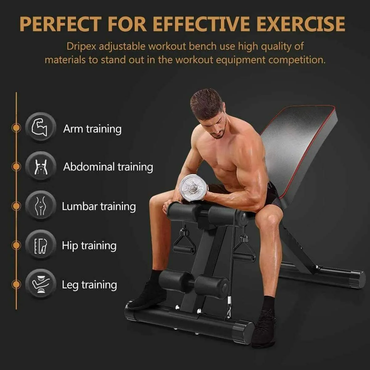 Body Building Bench