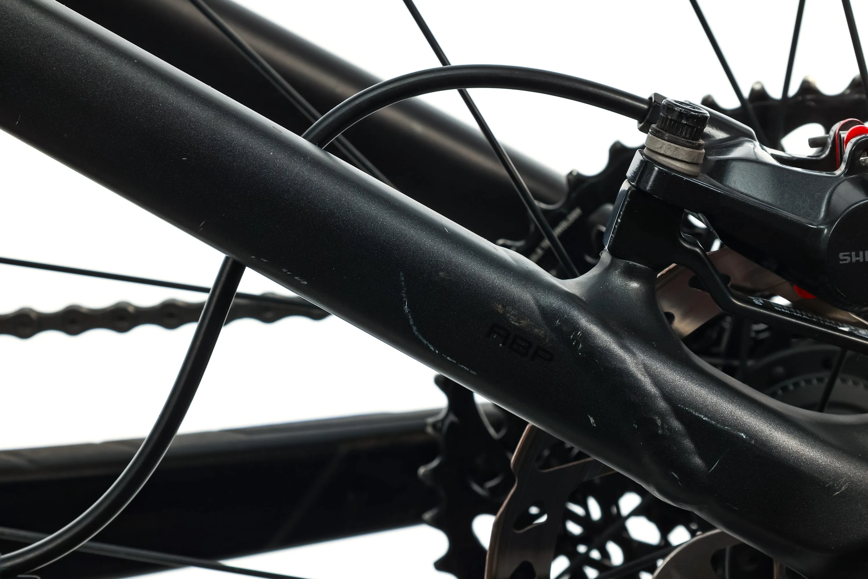 Trek Fuel EX 8 29 Mountain Bike - 2019, 15.5"
