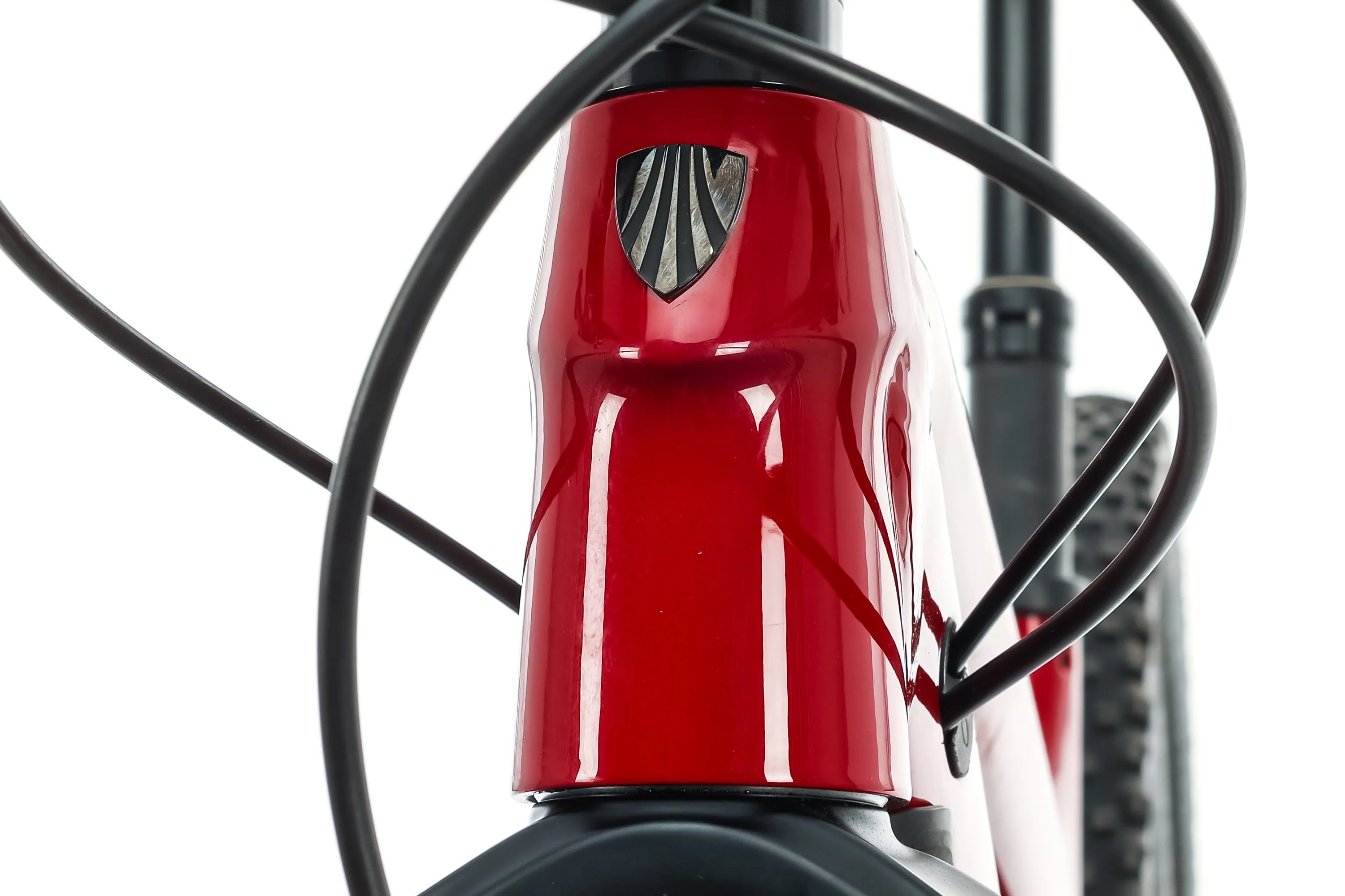 Trek Fuel EX 8 29 Mountain Bike - 2019, 17.5"
